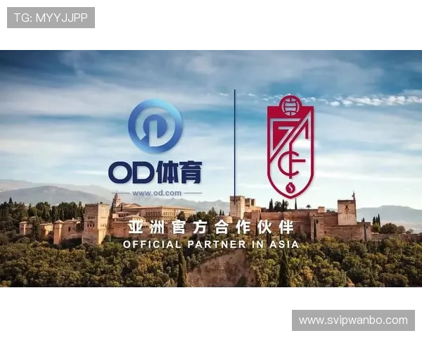 OD体育平台网页版常见问题与解决方案汇总帮助用户排除使用中的各种疑难困扰提升体验