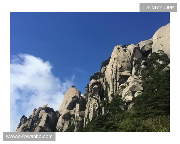 万博官方manbext3.0多平台兼容性分析,支持多设备多场景畅玩无障碍