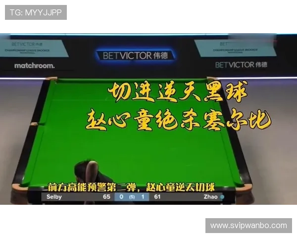 伟德体育官网最新官方平台全面解析，助你轻松掌握游戏玩法与优惠活动