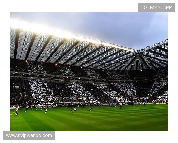 博友体育为您带来最新体育资讯和赛事直播全方位解读